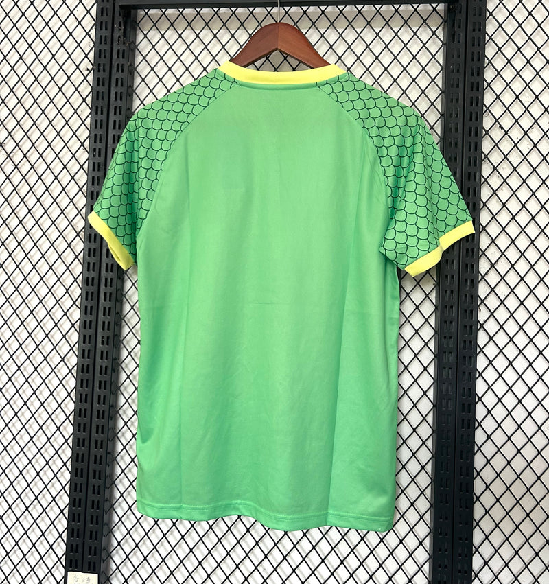 Maglia Giappone Edizione Speciale Dragon Ball 25/26